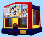 Mickey Mouse Bouncer